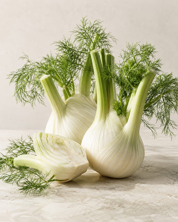 Fenouil