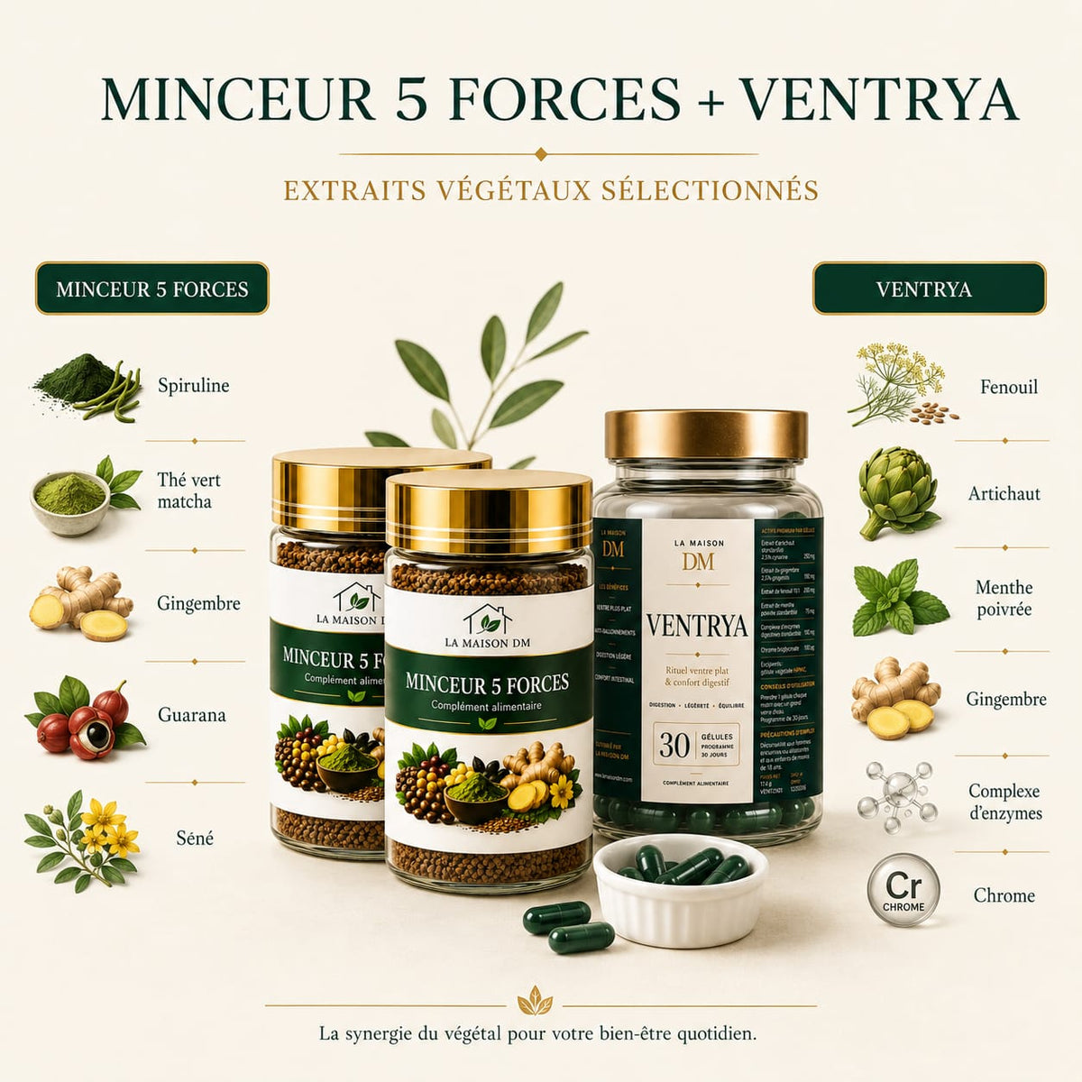 Duo Minceur 5 Forces + Ventrya – LA MAISON DM