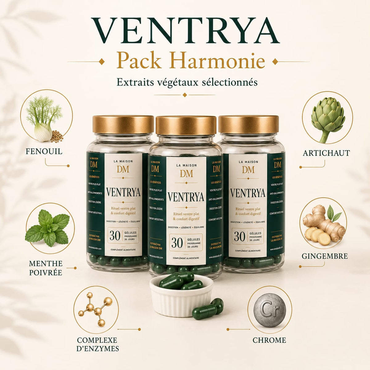 Ventrya