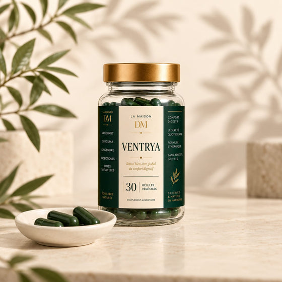 Ventrya — LA MAISON DM